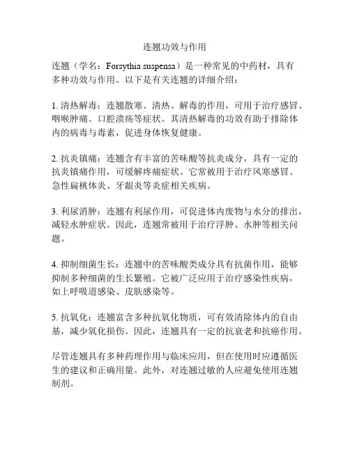 连翘功效与作用
