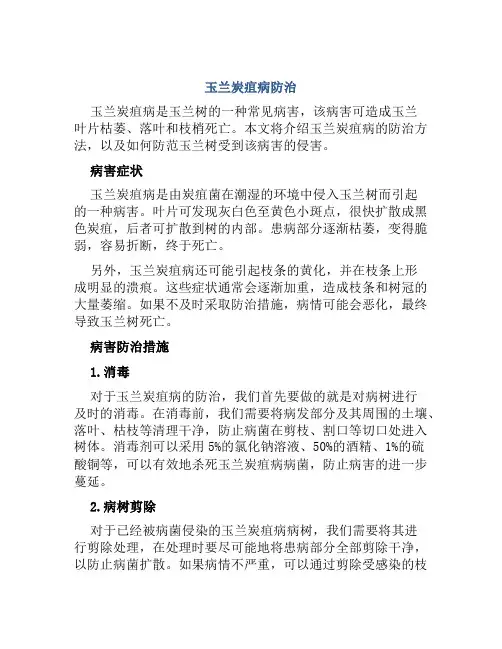 玉兰炭疽病防治