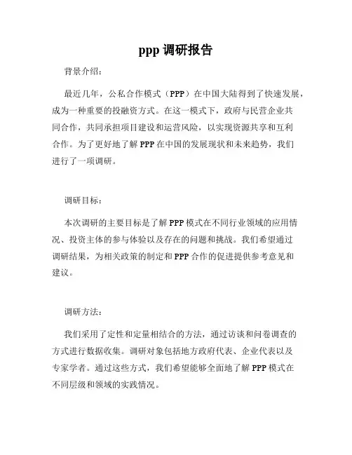 ppp调研报告