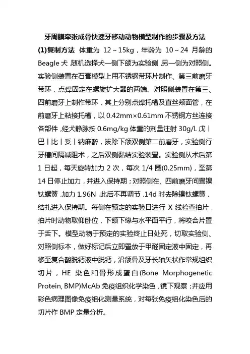 牙周膜牵张成骨快速牙移动动物模型制作的步骤及方法