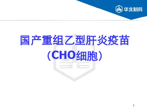 国产重组乙型肝炎疫苗CHO细胞ppt课件