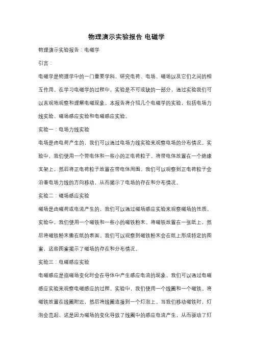 物理演示实验报告 电磁学