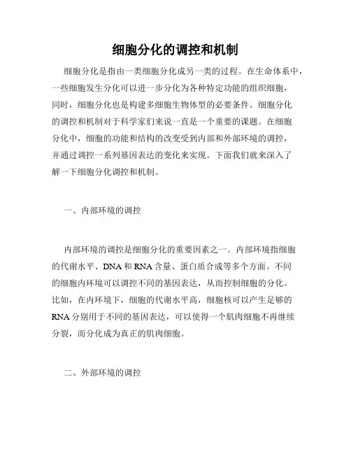 细胞分化的调控和机制