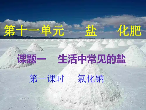 氯化钠、粗盐提纯