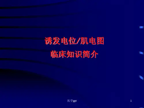 诱发电位肌电图临床知识简介