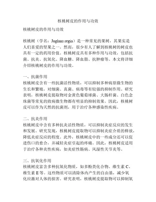核桃树皮的作用与功效