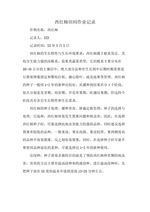 西红柿田间作业记录