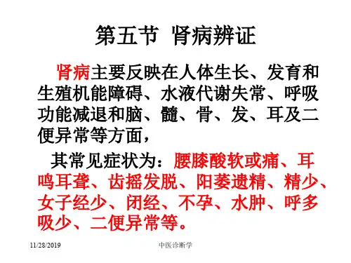 中医诊断学脏腑辨证-精选文档102页
