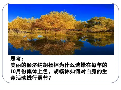 植物生长素的发现(上课课件)
