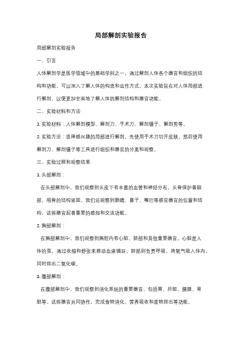 局部解剖实验报告