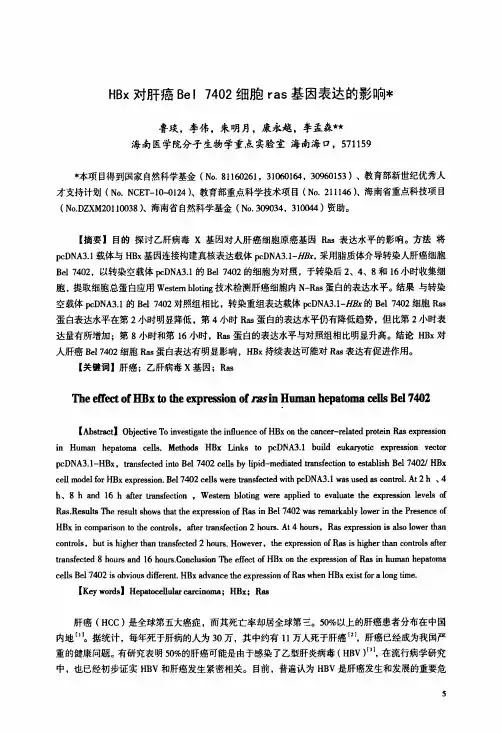 HBx对肝癌Bel7402细胞ras基因表达的影响