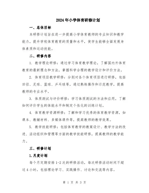 2024年小学体育研修计划