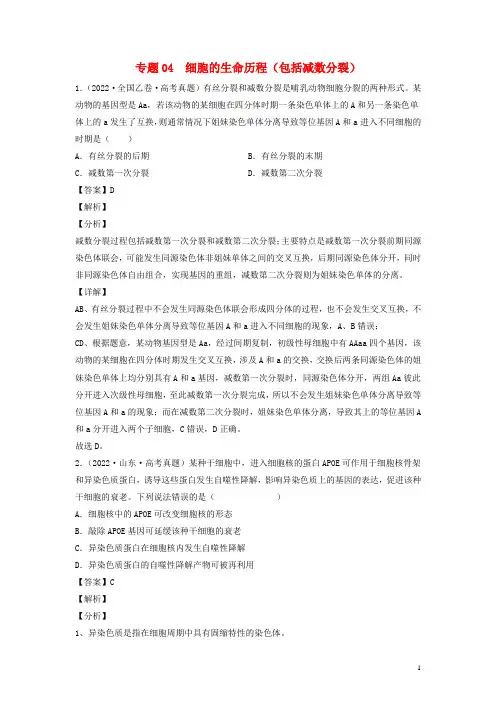 全国通用2020_2022三年高考生物真题分项汇编专题04细胞的生命历程包括减数分裂