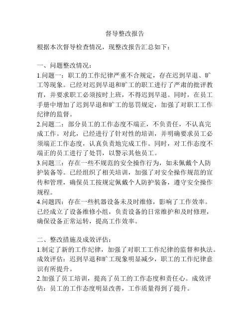 督导整改报告