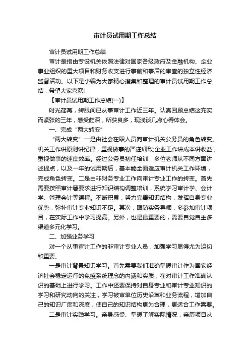 审计员试用期工作总结