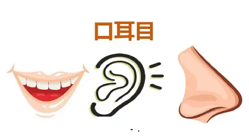 《口耳目》PPT优秀课件