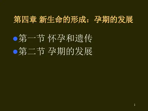 儿童青少年发展心理学第四章胎儿期PPT课件