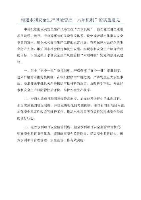 构建水利安全生产风险管控“六项机制”的实施意见