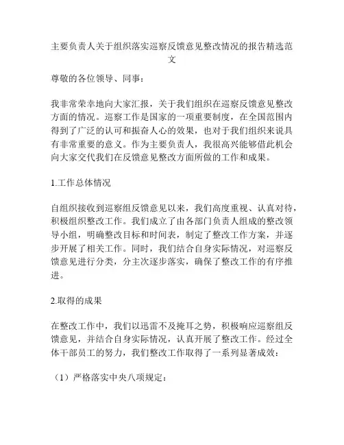 主要负责人关于组织落实巡察反馈意见整改情况的报告精选范文