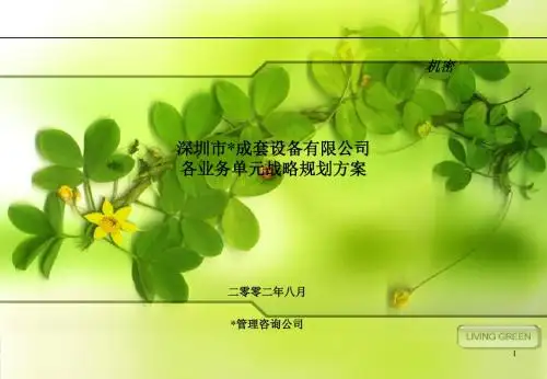 罗兰贝格某品牌有限公司战略业务规划