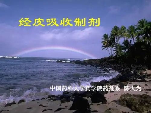 经皮给药系统