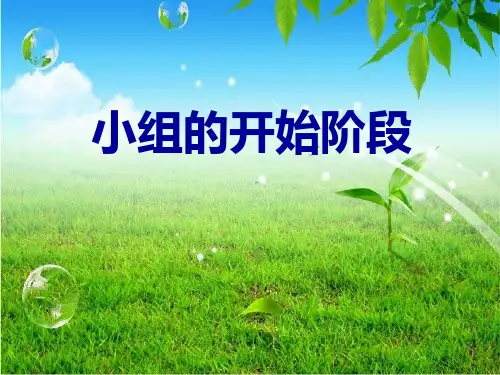 第18、19讲  小组的开始阶段