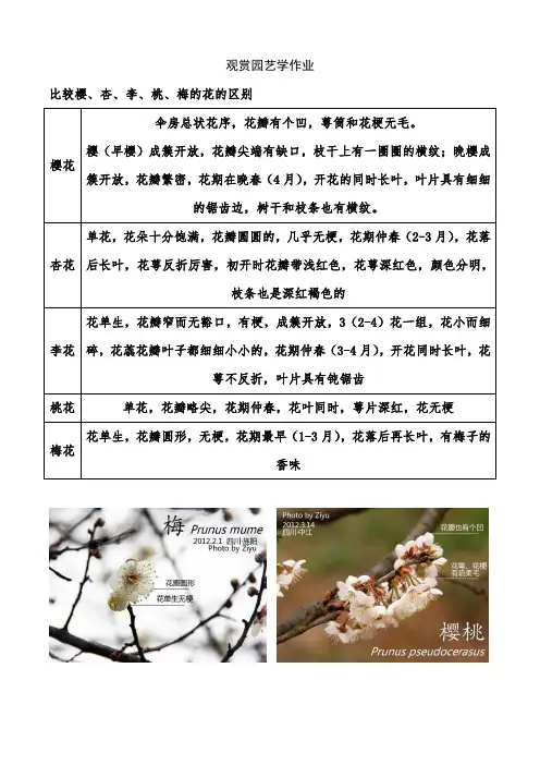 樱杏李桃梅区别