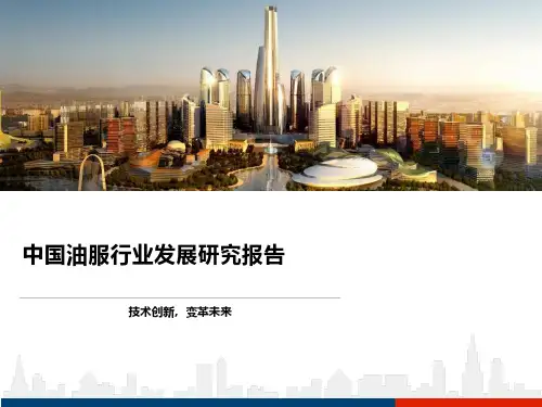 中国油服行业发展研究报告