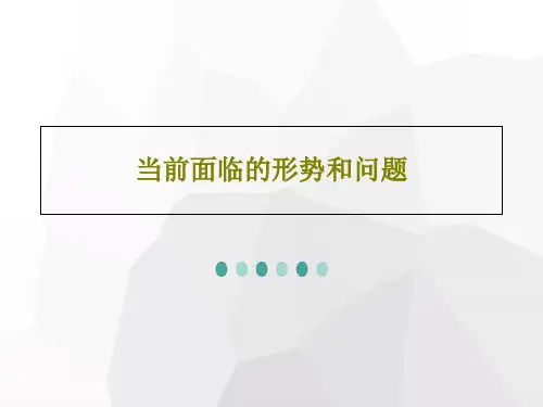 当前面临的形势和问题26页PPT