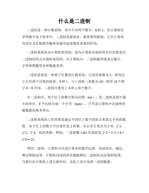 什么是二进制