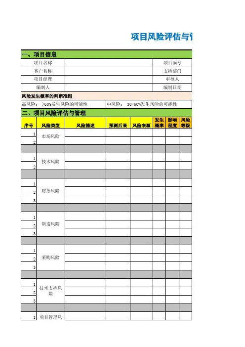 项目风险评估与管理表