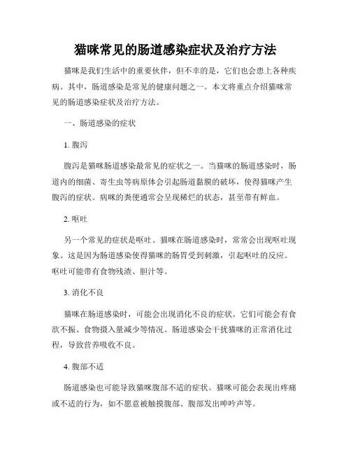 猫咪常见的肠道感染症状及治疗方法