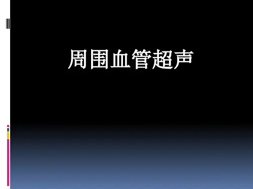 周围血管超声