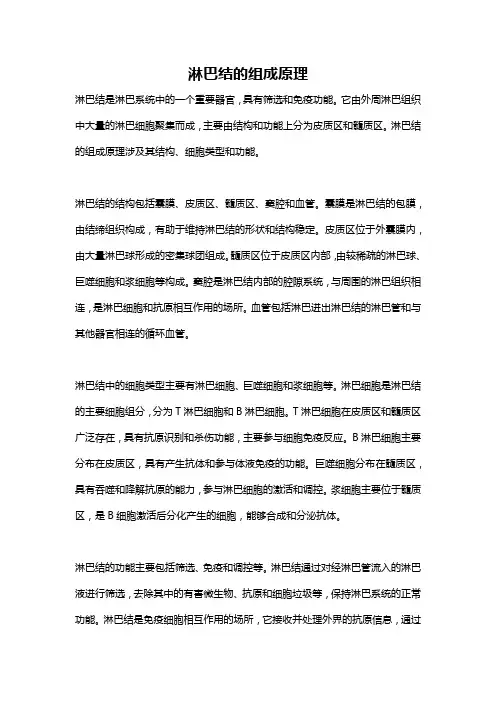 淋巴结的组成原理