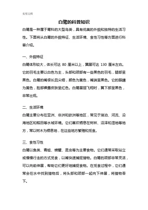 白鹭的科普知识