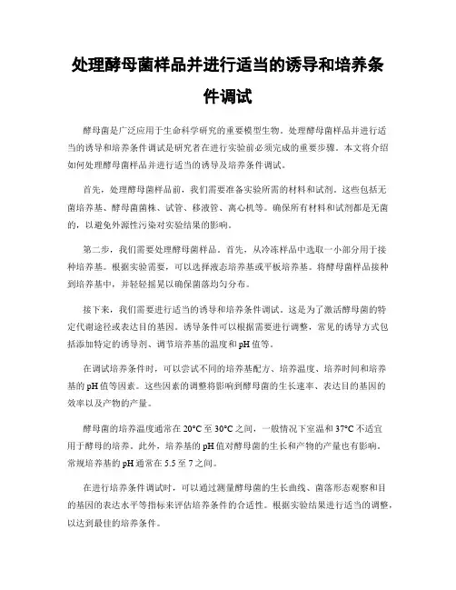 处理酵母菌样品并进行适当的诱导和培养条件调试