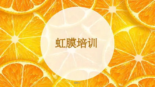 虹膜内部培训