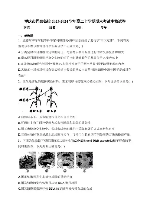 重庆市巴蜀名校2023-2024学年高二上学期期末考试生物试卷(含答案)