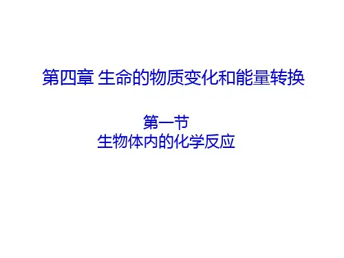 高一生物生物体内的化学反应PPT课件