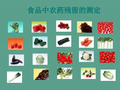 食品中农药残留测定ppt课件