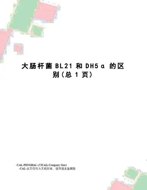 大肠杆菌BL21和DH5α的区别