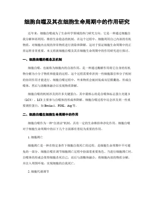 细胞自噬及其在细胞生命周期中的作用研究