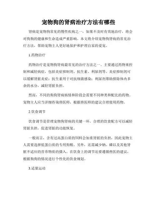 宠物狗的肾病治疗方法有哪些