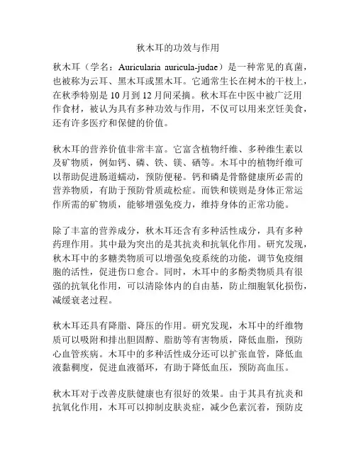 秋木耳的功效与作用