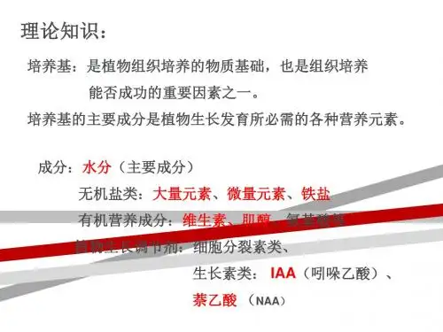母液的配制.ppt