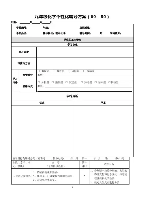 中考化学个性化辅导方案
