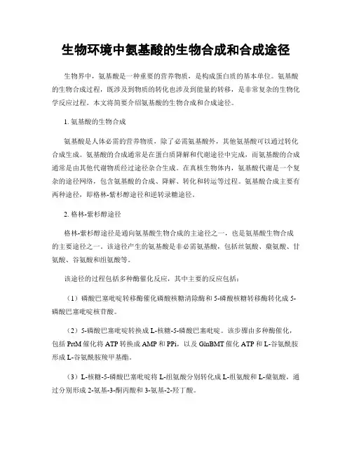 生物环境中氨基酸的生物合成和合成途径