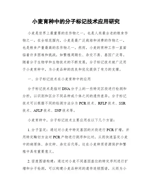 小麦育种中的分子标记技术应用研究