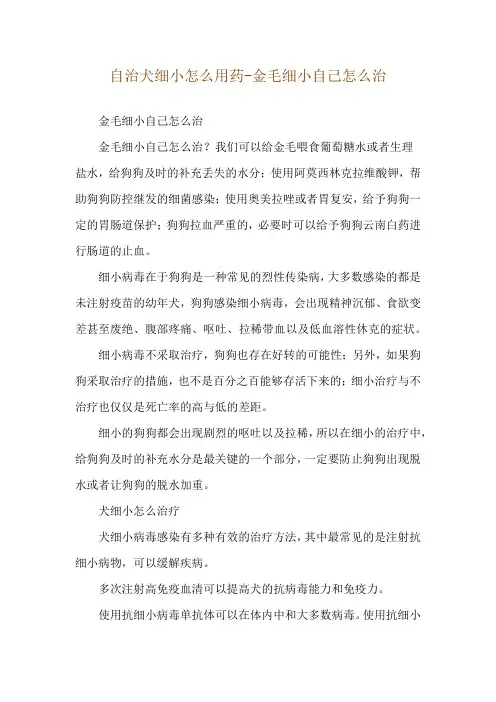 自治犬细小怎么用药-金毛细小自己怎么治