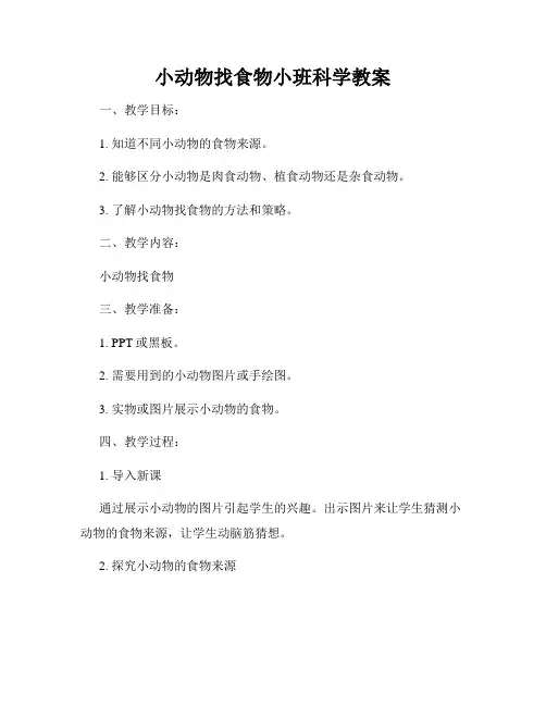 小动物找食物小班科学教案